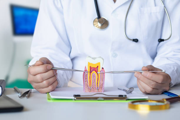Best Broken or Cracked Tooth Emergency Dentist in Cottonwood Shores, TX